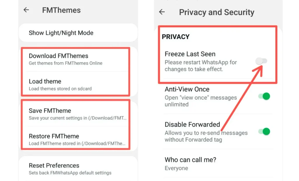 FM WhatsApp APK Privace and theme features