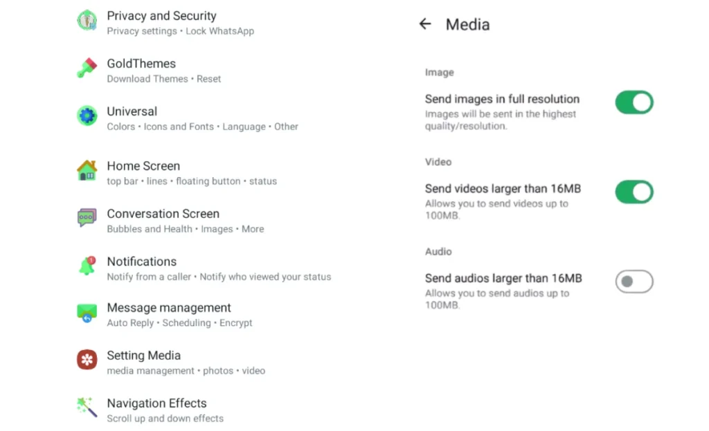 WhatsApp Plus Features